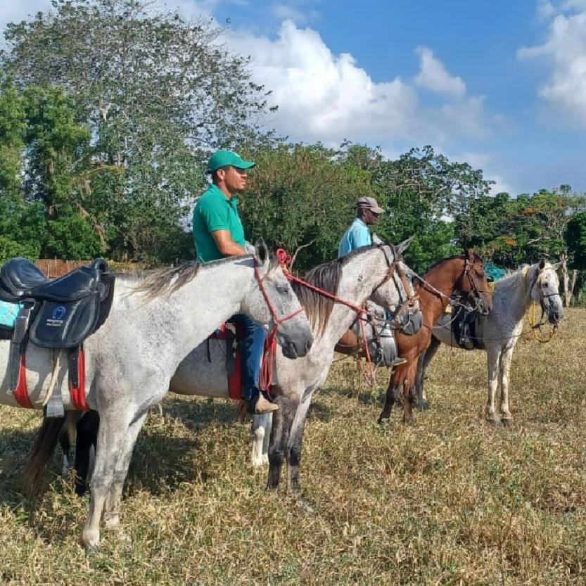 Fazenda Hotel Candeal Conceicao de Jacuipe ภายนอก รูปภาพ