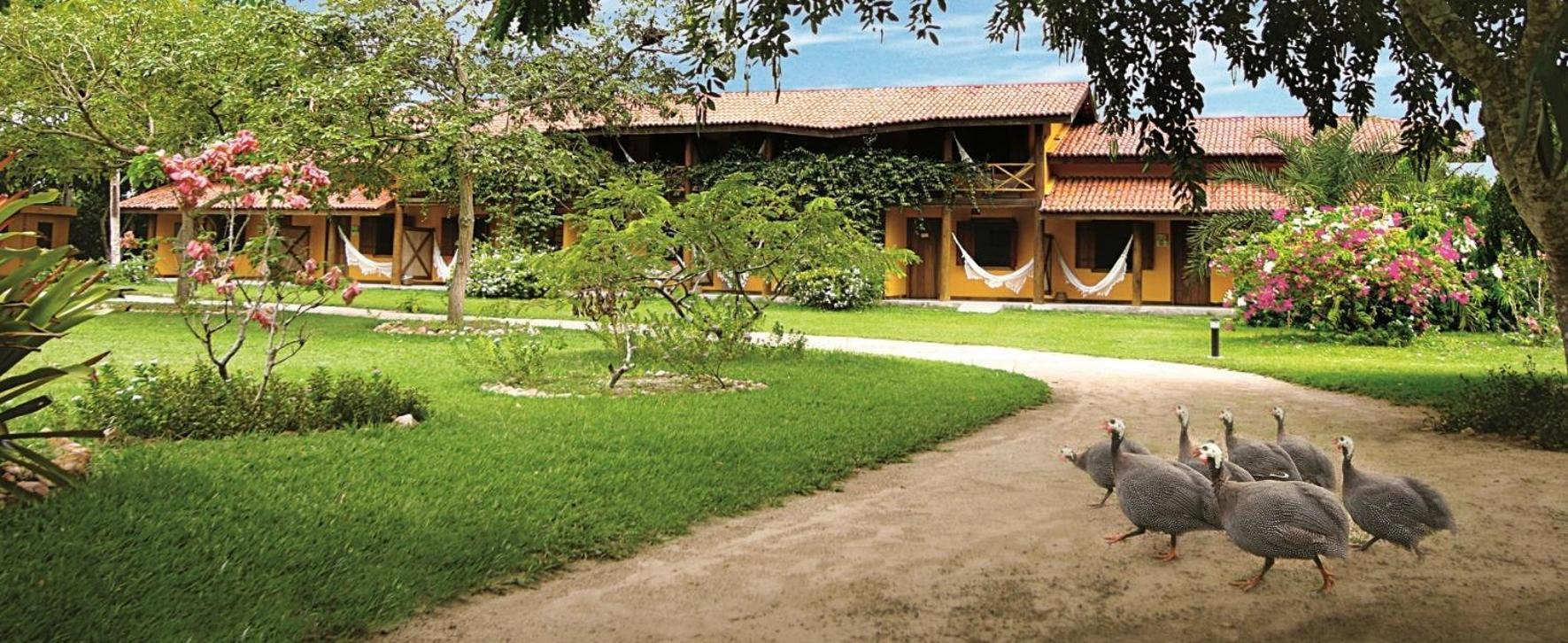 Fazenda Hotel Candeal Conceicao de Jacuipe ภายนอก รูปภาพ